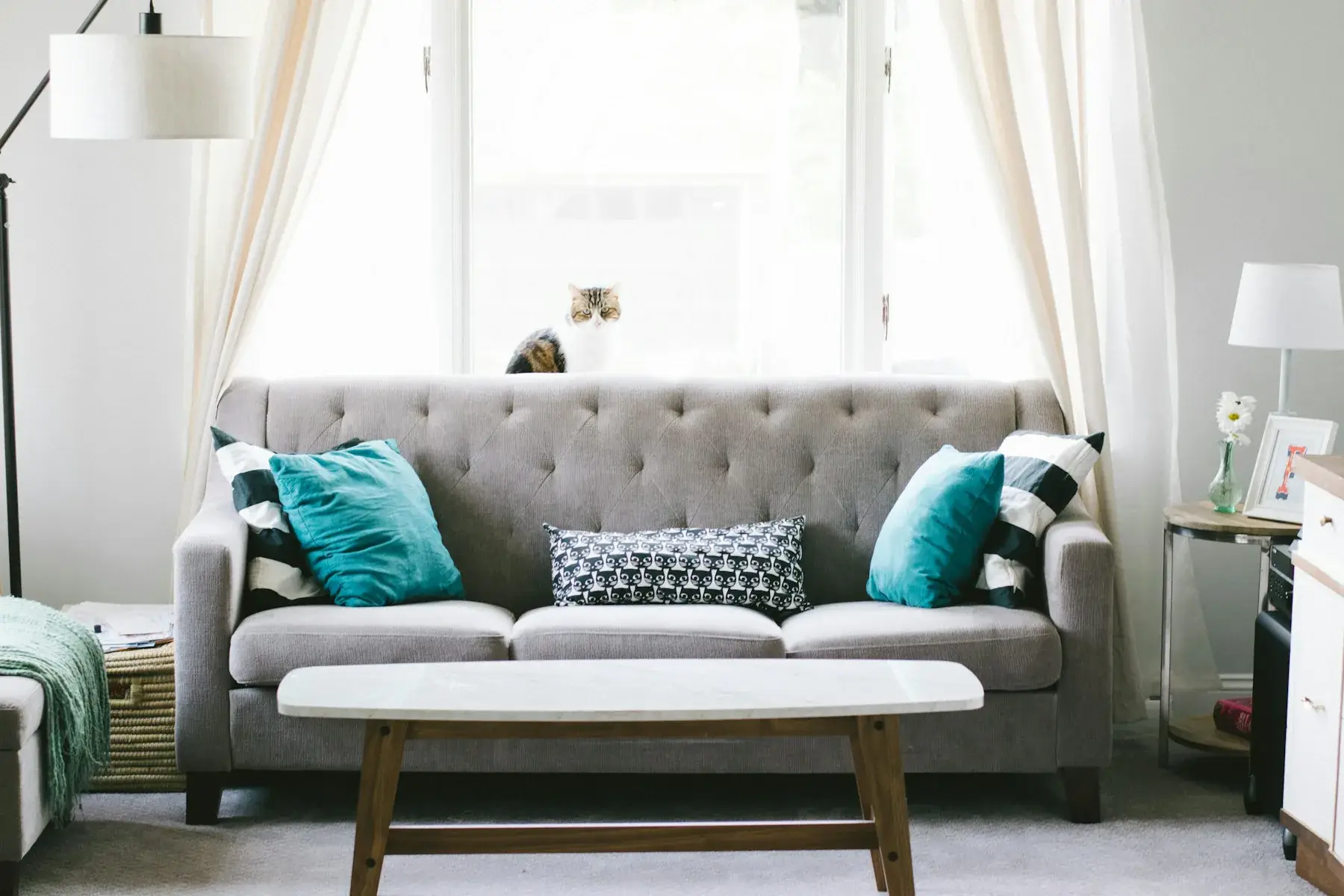 Grey tufted sofa with cushions
